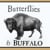 Butterflies & Buffalo