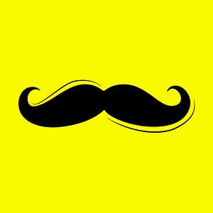 Profile picture for Bryan Giardinelli