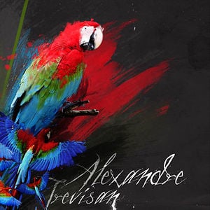 Profile picture for Alexandre Trevisan