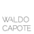 Waldo Capote