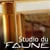 Studio du Faune