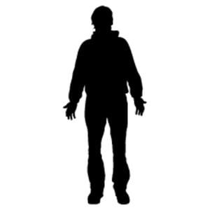 Profile picture for Vans The Omega