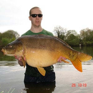 Profile picture for Dave McNally
