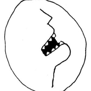 Profile picture for david neaud