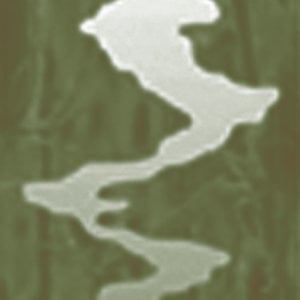 Profile picture for Classical Chinese Medicine