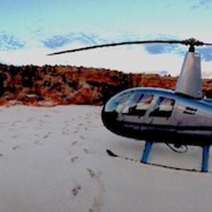 Profile picture for Catalina Adventures