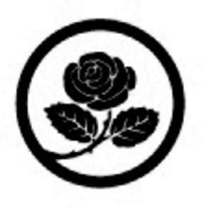 Profile picture for Rose Coloured World