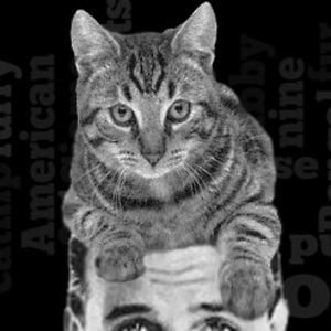 Profile picture for Men Who Wear Cats