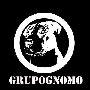 Profile picture for GrupoGnomo