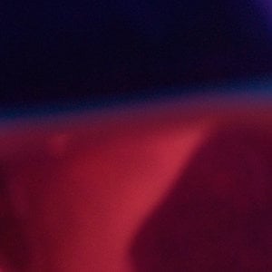 Profile picture for Celeste Taliani