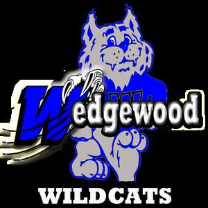 Profile picture for Wildcat Webmaster