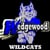 Wildcat Webmaster
