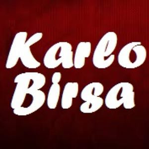 Profile picture for Karlo Birsa