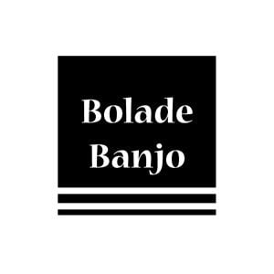 Profile picture for Bolade Banjo