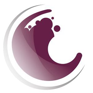 Profile picture for Svinando Wine Club
