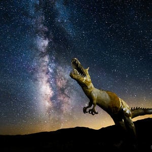 Profile picture for Michael Shainblum