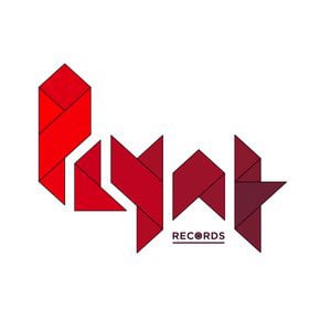 Profile picture for Plynt Records