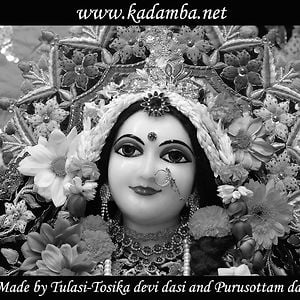 Profile picture for www.kadamba.net