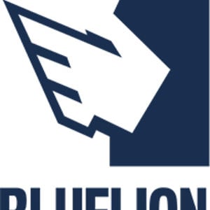 Profile picture for Blue Lion Digital