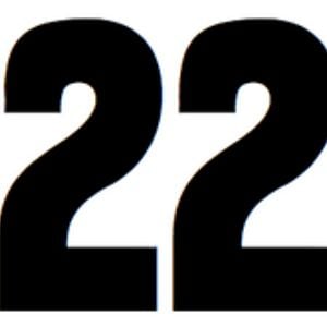 Profile picture for The 22 Magazine