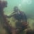 Cornell Extension Marine Program