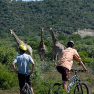 Profile picture for Bike and Saddle