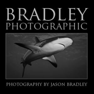 Profile picture for Bradley Photographic