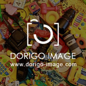 Profile picture for Dorigo