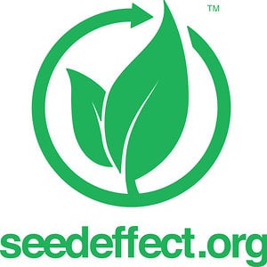 Profile picture for Seed Effect