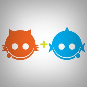 Profile picture for Cat and Fish