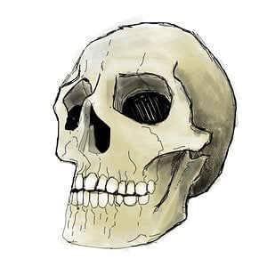 Profile picture for julien soler