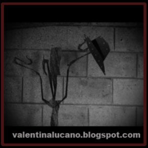 Profile picture for Valentina Lucano