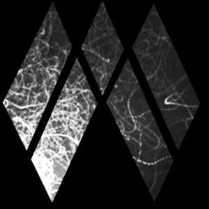 Profile picture for MAW