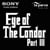 Eye of the Condor
