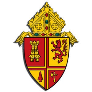 Profile picture for Diocese of St. Petersburg