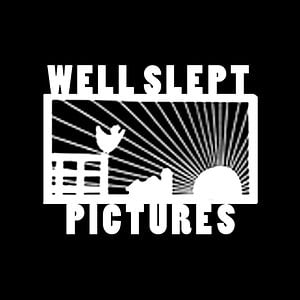 Profile picture for wellsleptpictures