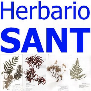 Profile picture for SANT Herbarium