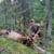 Clark Fork Outfitters