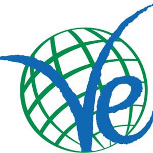 Profile picture for VE International