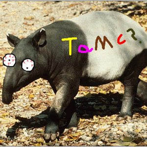 Profile picture for tAmC? PIXEL NOISE