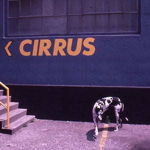 Profile picture for Cirrus Gallery