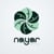 Nayar skate project