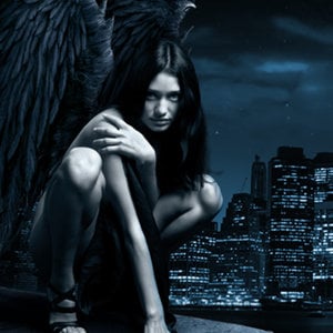 Profile picture for We Own The Night