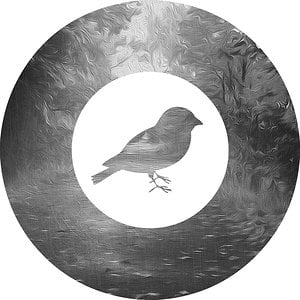 Profile picture for Rebaer