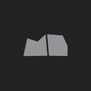 Profile picture for Matt Dippenaar