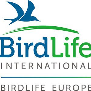 Profile picture for BirdLife Europe