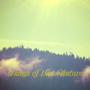 Profile picture for Things of That Nature