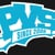 PVS Company