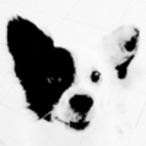 Profile picture for jjackk