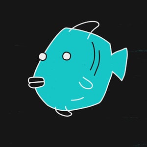 Profile picture for ofer winter